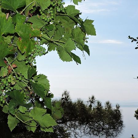 Apartment Bambi Opatija Eksteriør bilde